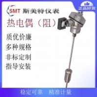 斯美特WRET2-31雙支軸承熱電偶 WRET-31溫度計(jì)