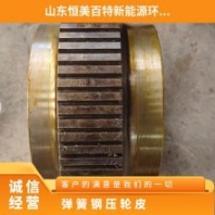 宇龍軸承鋼顆粒機(jī)壓輪皮 560壓輥殼 可定做 材質(zhì)65錳鋼