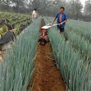 厚街真空脫泡箱 海揚(yáng)真空壽命長 小型真空脫泡箱定制