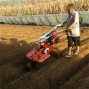 加長(zhǎng)臂挖掘機(jī)租賃公司 加長(zhǎng)臂挖掘機(jī)租賃 國(guó)斗