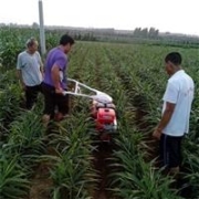 國(guó)斗  長(zhǎng)臂挖掘機(jī)租賃公司 長(zhǎng)臂挖掘機(jī)租賃