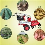 保定易縣礦山挖掘機(jī)市場