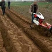 鴻博 加工挖掘機(jī)液壓鉗  液壓鉗價(jià)格 液壓破碎鉗特點(diǎn)