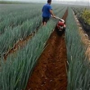 秦皇島煤礦用液壓挖掘機歡迎來電