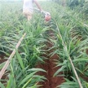 承德液壓油 挖掘機(jī)46號(hào)液壓油 安美amer生產(chǎn)廠家