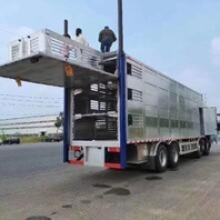 安美amer型號液壓油 叉車46號抗磨液壓油 液壓油