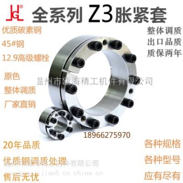 Z3系列脹套非標(biāo)304不銹鋼定制廠家直銷BIKON1003脹緊套SP2脹套