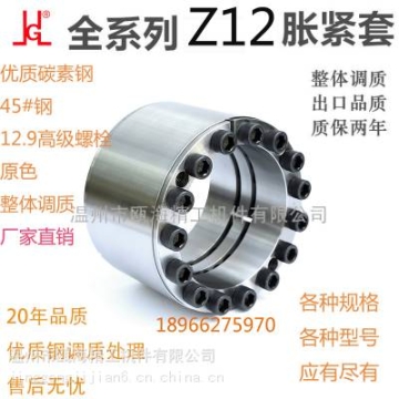 ZT12脹套軸承Z12脹緊套聯(lián)結(jié)套304不銹鋼法蘭螺栓電機(jī)進(jìn)口款抖音