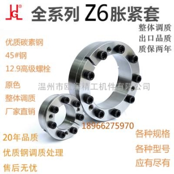 ZT6系列脹套免鍵襯套聯軸器螺栓破碎機粉碎拉絲機減速機配件精密