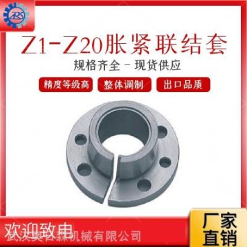 供應(yīng)工業(yè)脹套傳動件Z14脹緊套14*25-65*72 STK,LOCK,RFN漲套