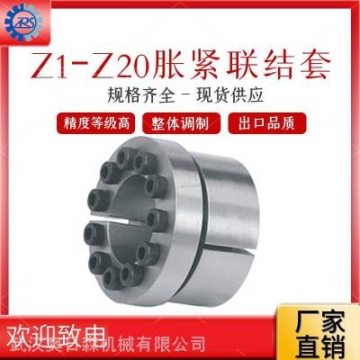 供應(yīng)工業(yè)脹套傳動件 Z13脹緊套20*47-180*235 STK,LOCK,RFN漲套
