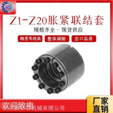供應(yīng)脹套傳動件 Z12脹緊套25*55-320*405 STK,LOCK,RFN漲套