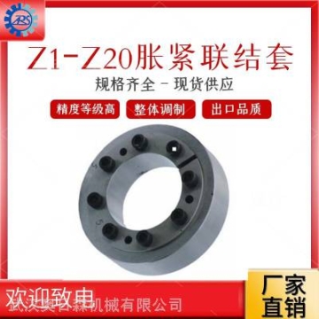 供應(yīng)機(jī)械脹套傳動(dòng)件 Z10脹緊套12*32-140*230 STK,LOCK,RFN漲套