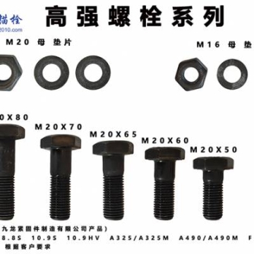 鋼結(jié)構(gòu)緊固件 九龍牌 M20*50