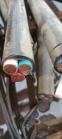 齊齊哈爾316材質(zhì)防爆化工泵 瑞泰水泵