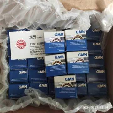 GMN軸承銷售 HYSH6011CTAP4+DUL軸承 GMN單向軸承密封件