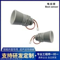 山東孚暢機械設(shè)備有限公司主營生產(chǎn)深孔刀具,輔具 珩磨頭 粗鏜頭 精鏜頭 價格低