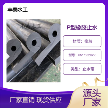 橡膠止水帶水封閘門(mén)水封止水橡皮密封件異形件水閥
