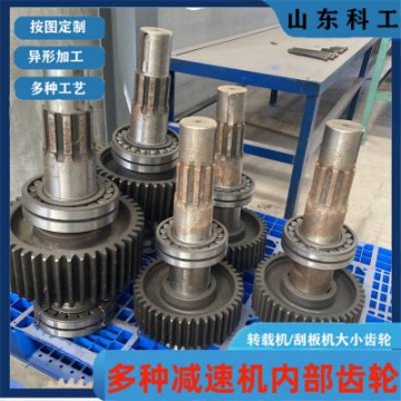 Z=17刮板機軸斜齒輪 SGW-40T輸送機減速機尺輪 JS40內(nèi)部密封件