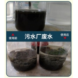 自貢聚丙烯酰胺廠家，自貢聚丙烯酰胺價格，自貢非離子聚丙烯酰胺，PAM絮凝劑，化工廠污水處理藥劑，嵩陽凈水材料廠家