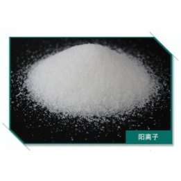 聚丙烯酰胺，陽離子價格，陰離子價格，聚丙烯酰胺產(chǎn)地，聚丙烯酰胺廠家批發(fā)價