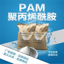 聚丙烯酰胺-聚丙烯酰胺價格 - 鞏義市嵩陽凈水材料有限公司