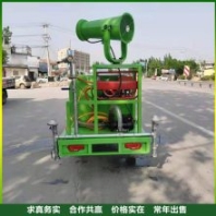 汽油機(jī) 三輪便攜霧炮灑水車 道路小型環(huán)保可移動(dòng)噴灑車