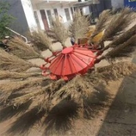 道路清掃機(jī) 風(fēng)火輪掃路機(jī) 14型掃地機(jī) 創(chuàng)潔清掃車定制