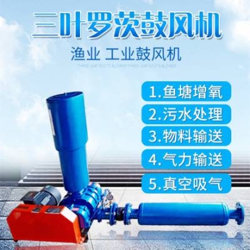 沈陽羅茨風(fēng)機(jī) 可定做 氣力輸送設(shè)備配套風(fēng)機(jī) 污水曝氣配套鼓風(fēng)機(jī)