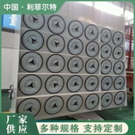 垃圾焚燒爐處理系統(tǒng)脈沖清灰濾筒除塵器LF-XLC8-8 利菲爾特