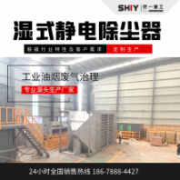世一重工不銹鋼濕式靜電除塵 垃圾焚燒爐煙霧處理設(shè)備 高壓靜電除塵器