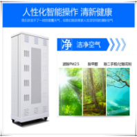 殺菌消毒機(jī)負(fù)離子臭氧空氣凈化器新房除甲醛異味家用室內(nèi)廁所除臭