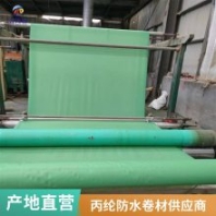 海馳 屋頂?shù)孛嫘l(wèi)生間丙綸布防水卷材 廁所補漏防潮 300g聚乙烯高分子材料