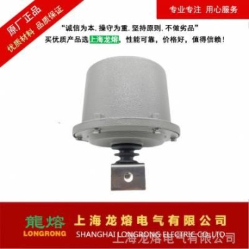 上海龍熔電氣避雷器計數(shù)器檢測器 JCQ-3E英文版本