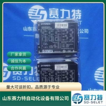 意大利 SENECA EASY LOG VIEWER 數(shù)據(jù)記錄儀