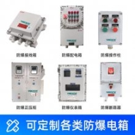 訂制非標(biāo)防爆控制箱 照明動力開關(guān)電源箱 電伴熱儀表顯示溫控箱