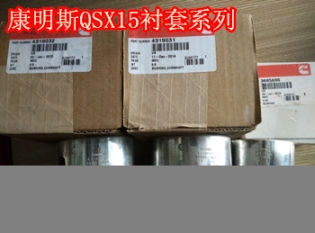 QSK60活塞銷4001416{活塞卡簧3089251}有貨