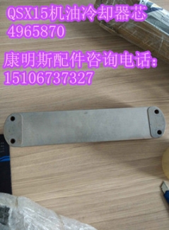 美康噴油器4026222{國產(chǎn)價(jià)格}噴油器4061851強(qiáng)勢(shì)來襲