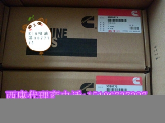 線束4943176{QSC8.3線束4945300}3976940