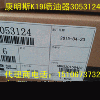 氣門座圈4026228{QSNT14氣門導(dǎo)管3064312}