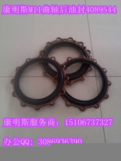 線束2864487{線束2864515}QSM11發(fā)動機線束