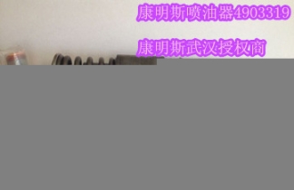 回油閥4899831（ISB發(fā)動(dòng)機(jī)回油閥4899804）康明斯