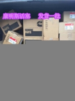 缸蓋螺絲3071161{QSN14缸蓋螺絲墊圈3071075}