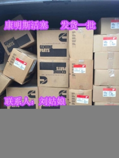 水泵4296123{實力}康明斯QSN14水泵4915398