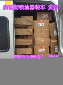 齒輪罩4914937{QSN齒輪罩4914941}康明斯
