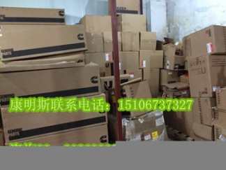 皮帶178463（QSN14發(fā)電機(jī)皮帶3040292）3807034