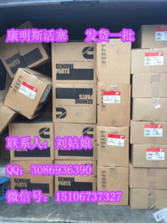 發(fā)電機(jī)4061007康明斯QSN充電機(jī)4061007