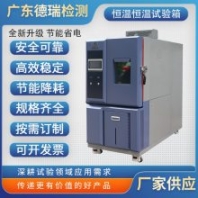 DR-H205F 山東非線性快速溫變箱5℃ 電池行業(yè)