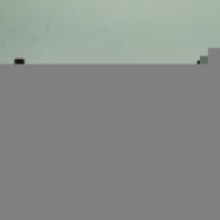 FRIZLEN	電阻器	FZDPQU160X45S-3X25