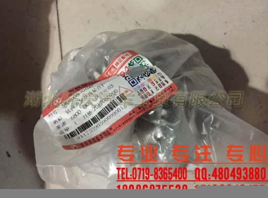 東風(fēng)雷諾轉(zhuǎn)向油泵及齒輪合件3406005-T0100